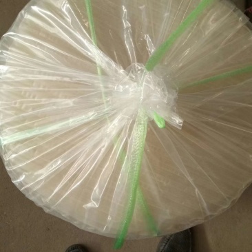 优质红薯粉皮，产地直销，量大从优