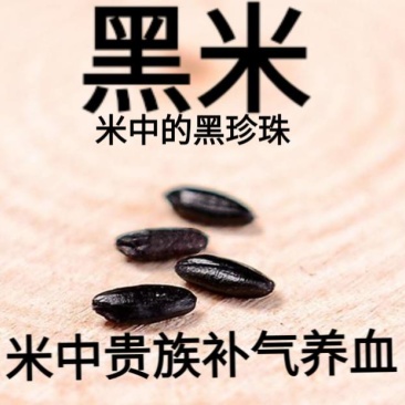 黑米东北黑米米中贵族米熬粥米逢黑必补米包邮