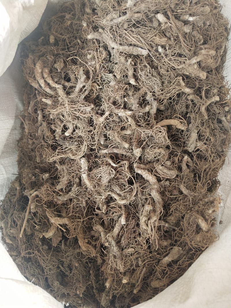 地胆头干货新货地胆头地胆头无硫磺