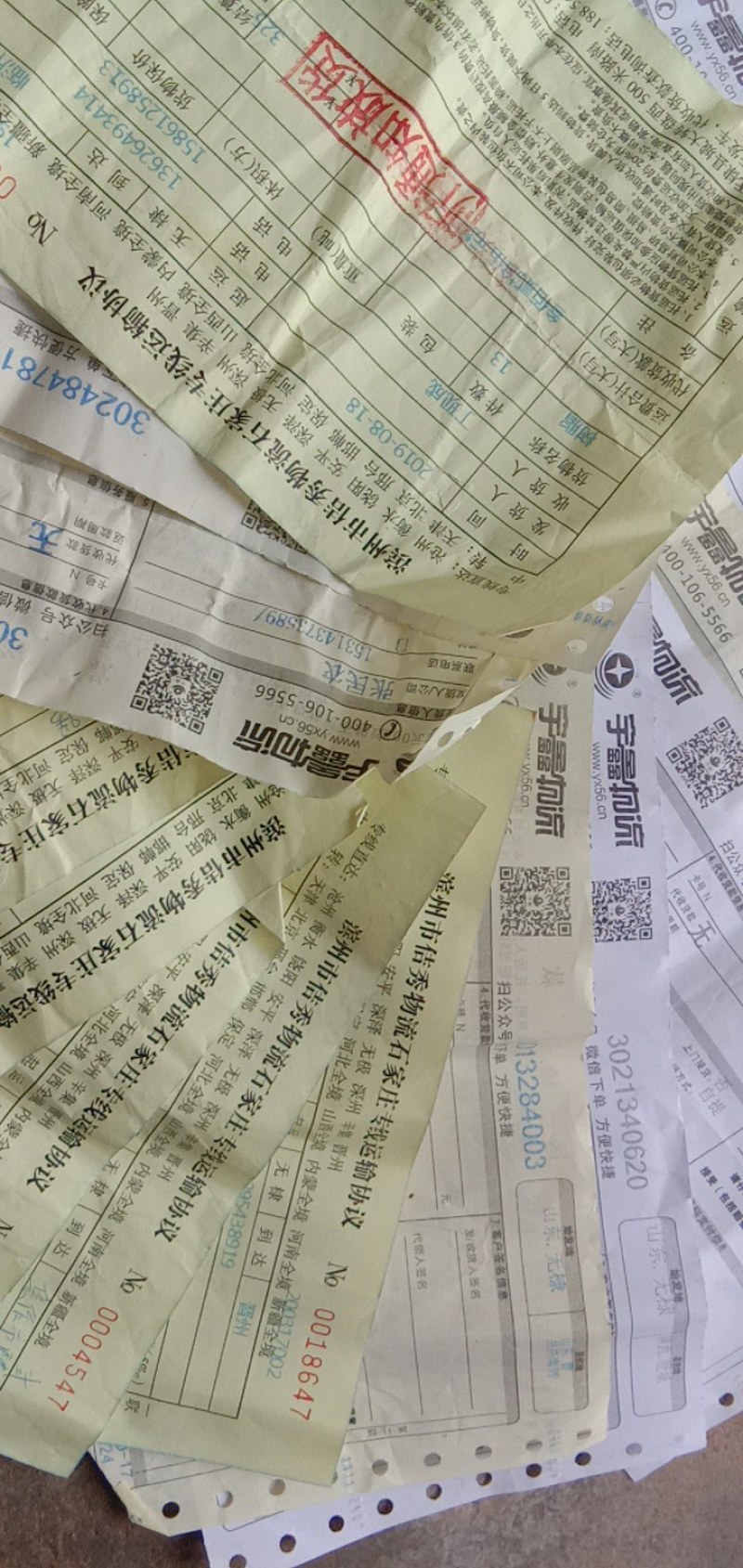 优质白蜡金蝉卵枝批发一手货源〔爬叉卵枝〕