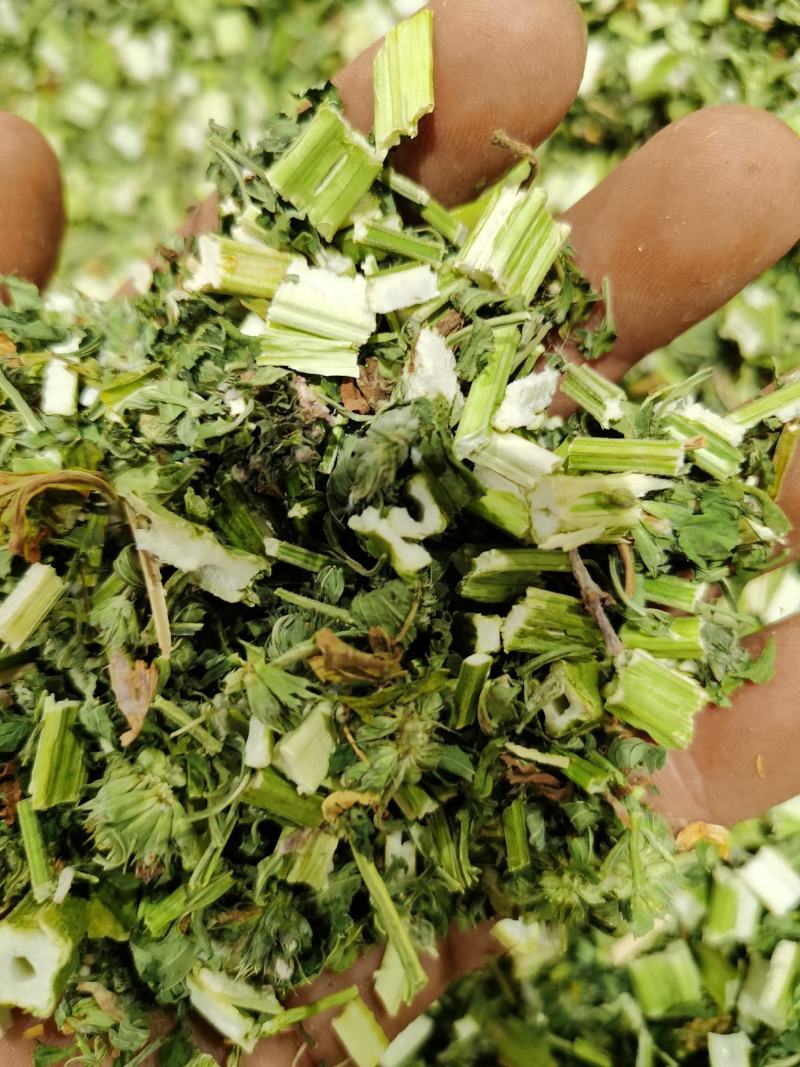 益母草，颜色青，质量好