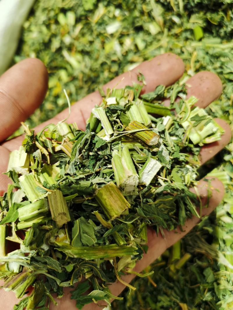益母草，颜色青，质量好