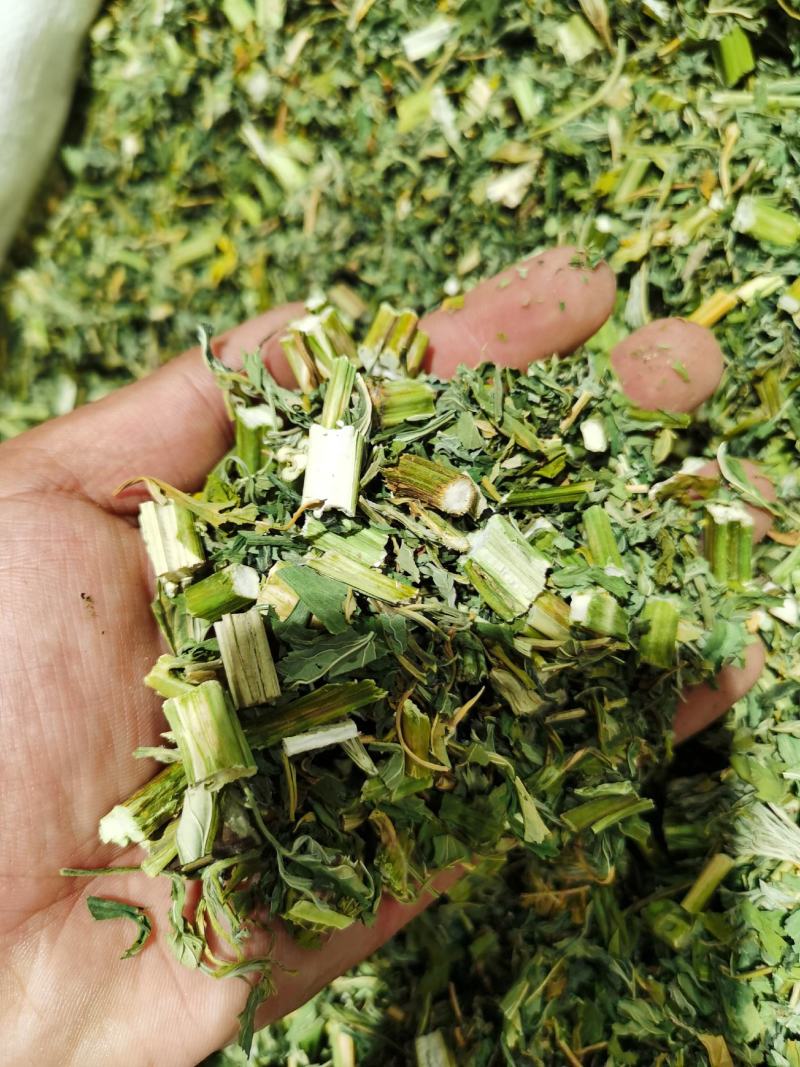 益母草，颜色青，质量好