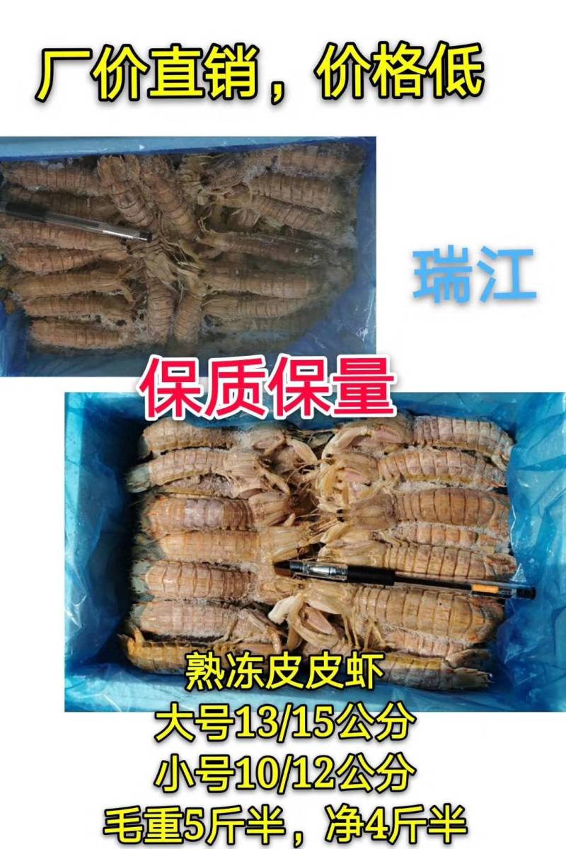 皮皮虾，熟冻，保肥满肉，一手货源，质量保证，价格优惠，