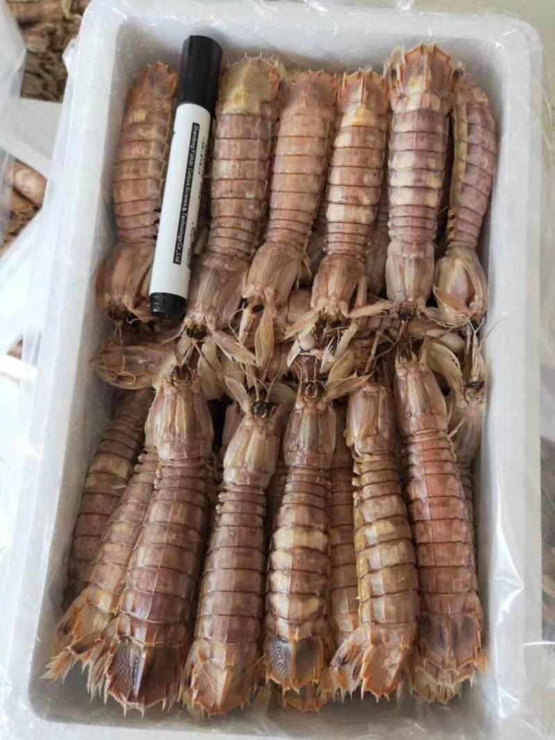 皮皮虾，熟冻，保肥满肉，一手货源，质量保证，价格优惠，