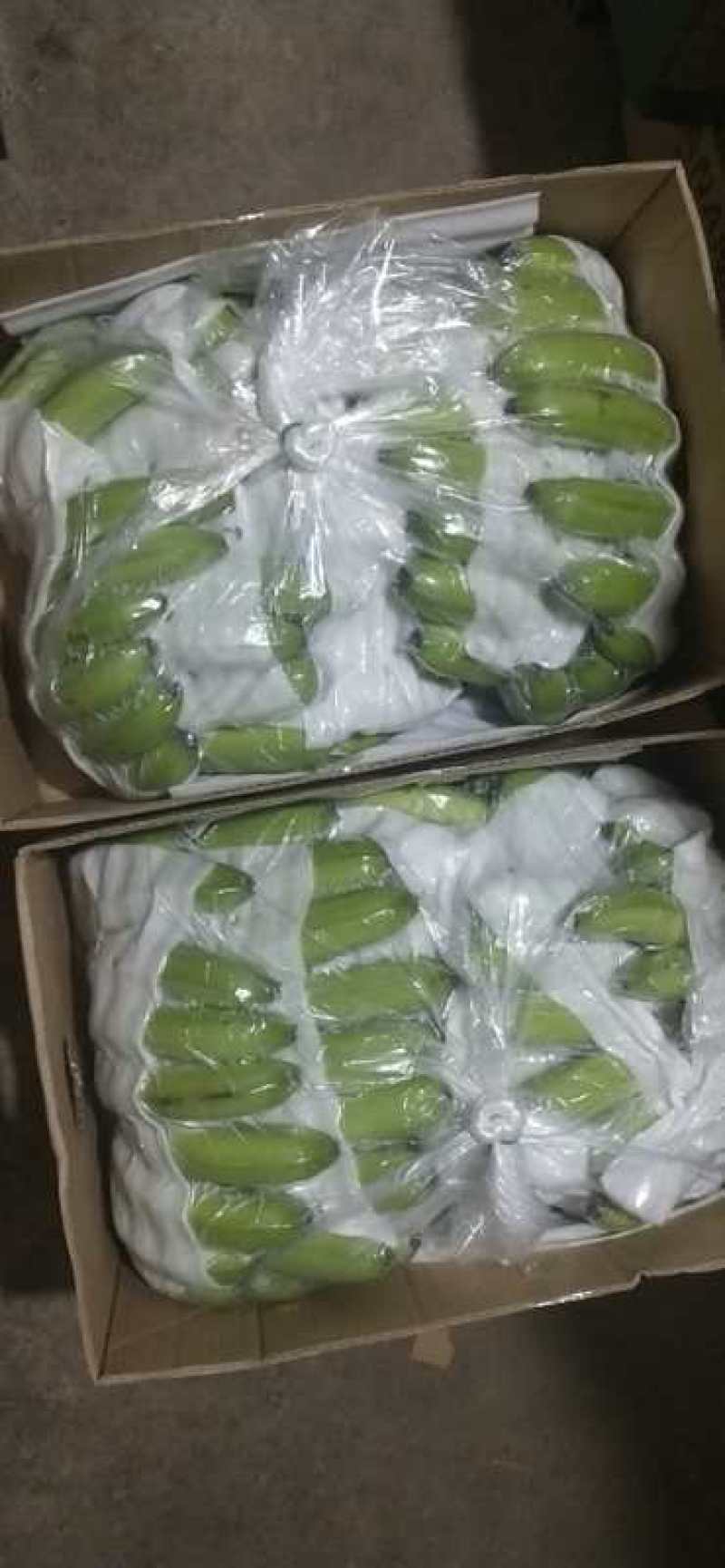 云南本地香蕉…保质！保量！量大从优，诚信合作