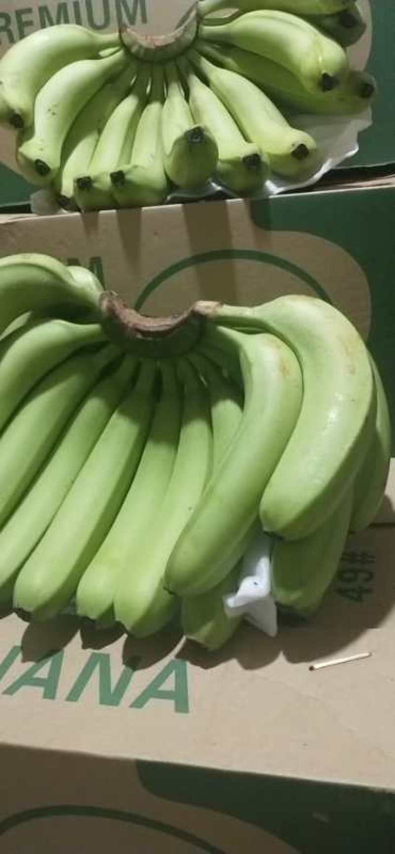 云南本地香蕉…保质！保量！量大从优，诚信合作