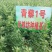 21年新藜麦一级灰黎麦米颗粒饱满，口感好量大从优8斤起
