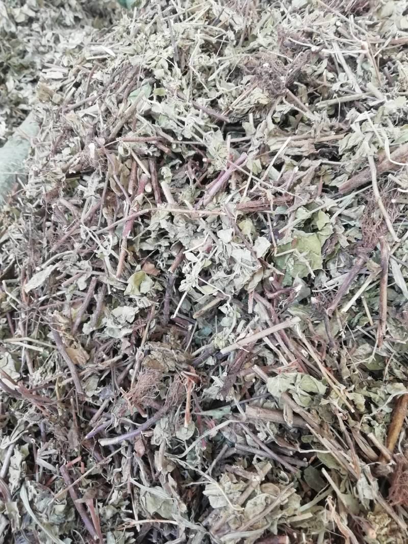 土茵陈中药材铃茵陈牛至草阴行草猪毛蒿山茵陈石茵陈野生正品