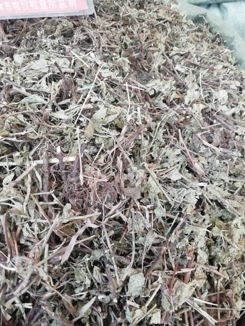 土茵陈中药材铃茵陈牛至草阴行草猪毛蒿山茵陈石茵陈野生正品