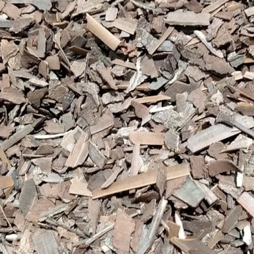 鬼箭羽！品类其全大货批发产地直销一手货源