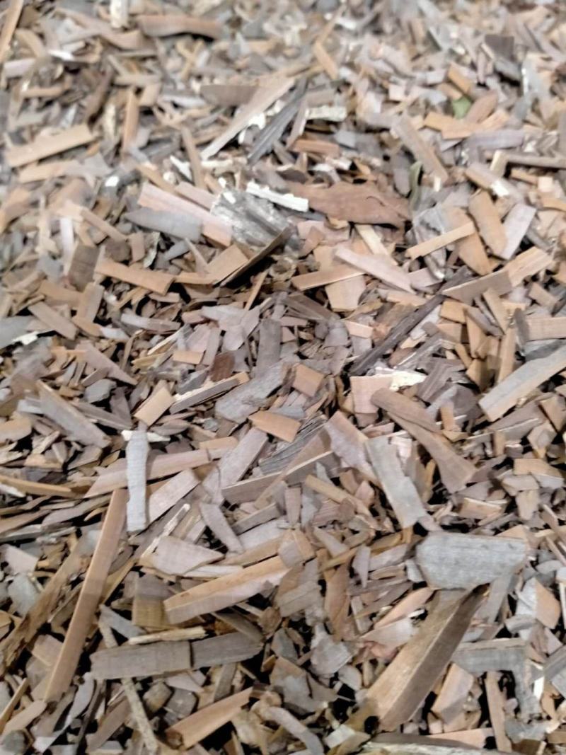 鬼箭羽！品类其全大货批发产地直销一手货源