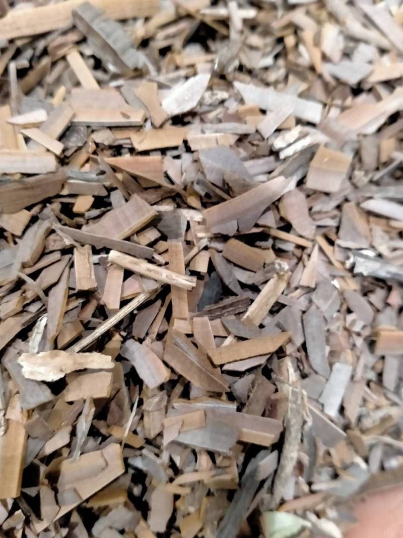 鬼箭羽！品类其全大货批发产地直销一手货源