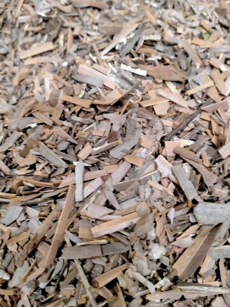 鬼箭羽！品类其全大货批发产地直销一手货源