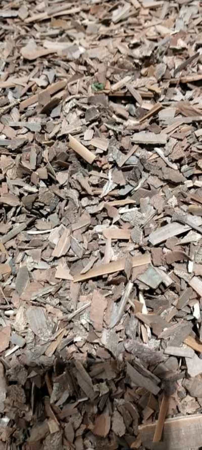 鬼箭羽！品类其全大货批发产地直销一手货源