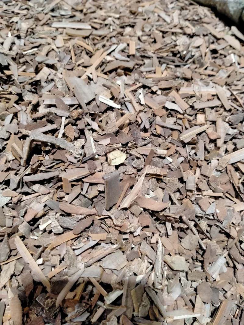 鬼箭羽！品类其全大货批发产地直销一手货源