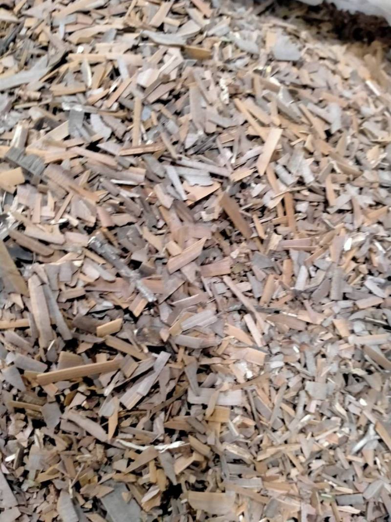 鬼箭羽！品类其全大货批发产地直销一手货源