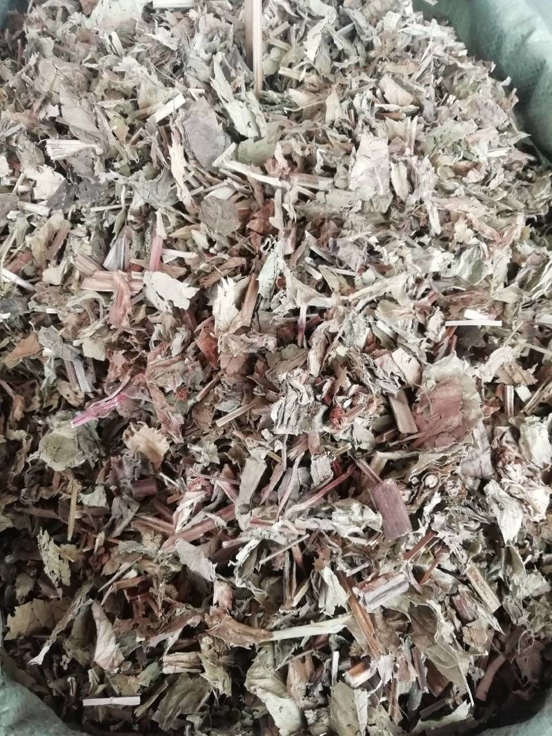 泽兰，中药材店铺正品泽兰叶蛇王草中草药香水