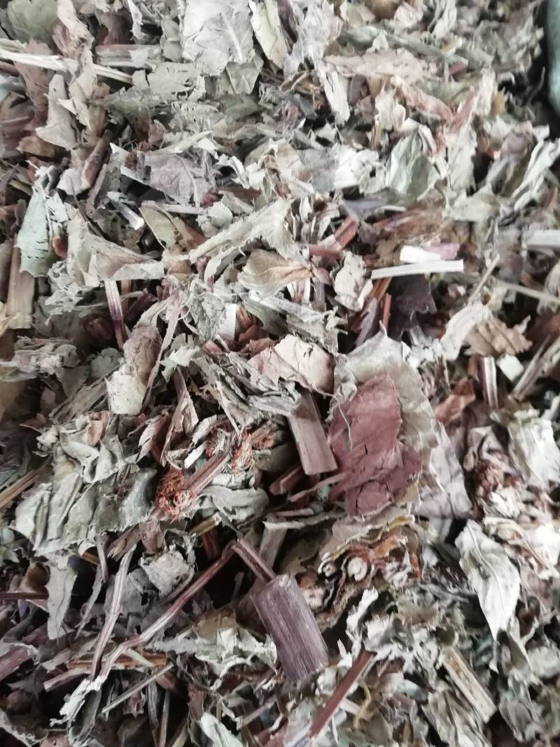 泽兰，中药材店铺正品泽兰叶蛇王草中草药香水