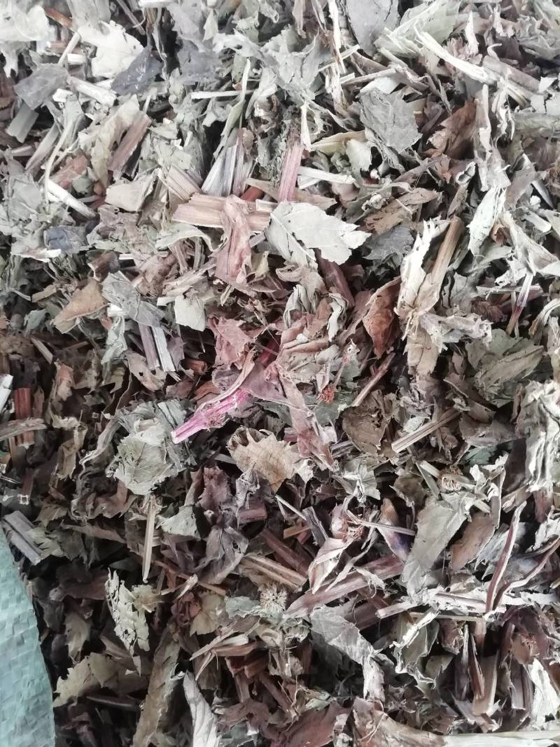 泽兰，中药材店铺正品泽兰叶蛇王草中草药香水