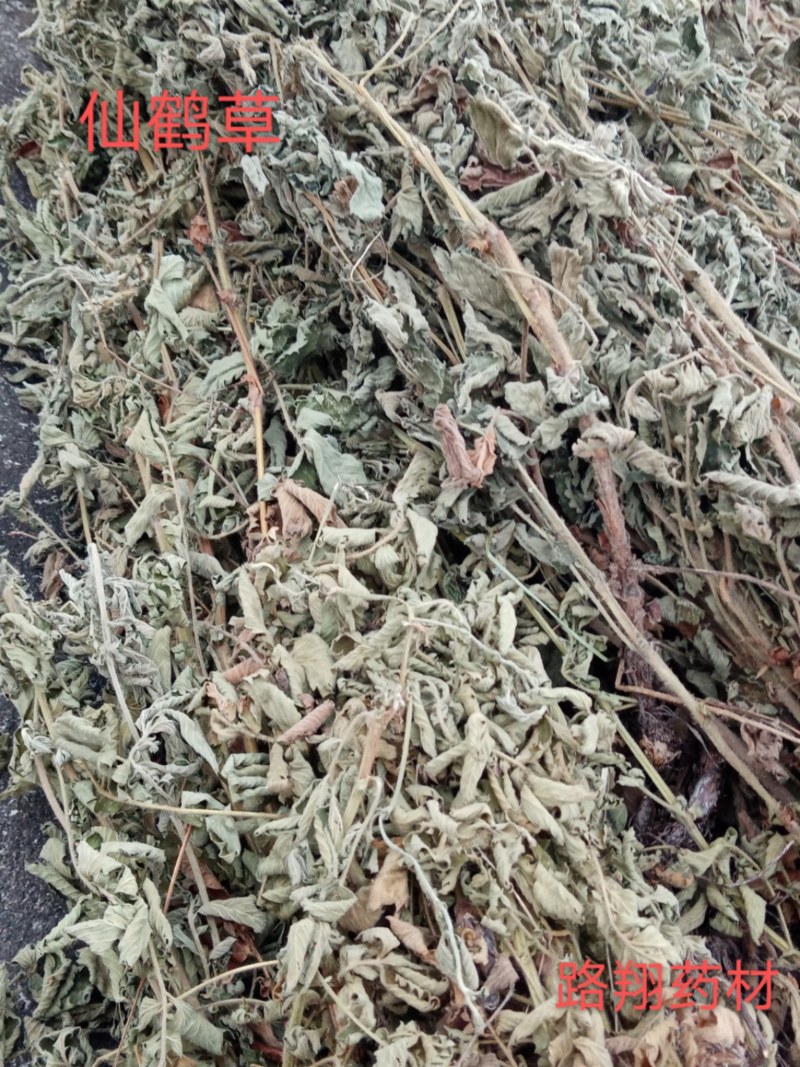 仙鹤草色绿新货量大从优