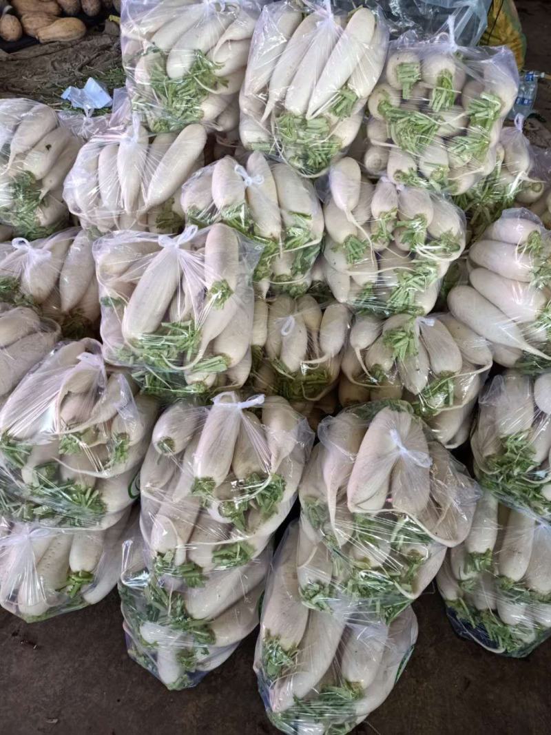 大量供应白萝卜，质量有保障，欢迎来电咨询。