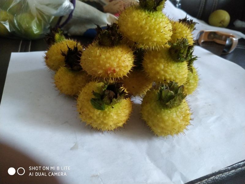 干果刺梨正宗刺梨，甘甜可口，水分足，饱满，香甜，泡茶