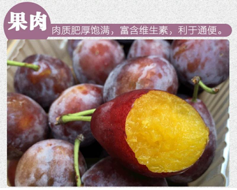 新疆喀什优质法兰西纯甜西梅非蓝色理查德西梅