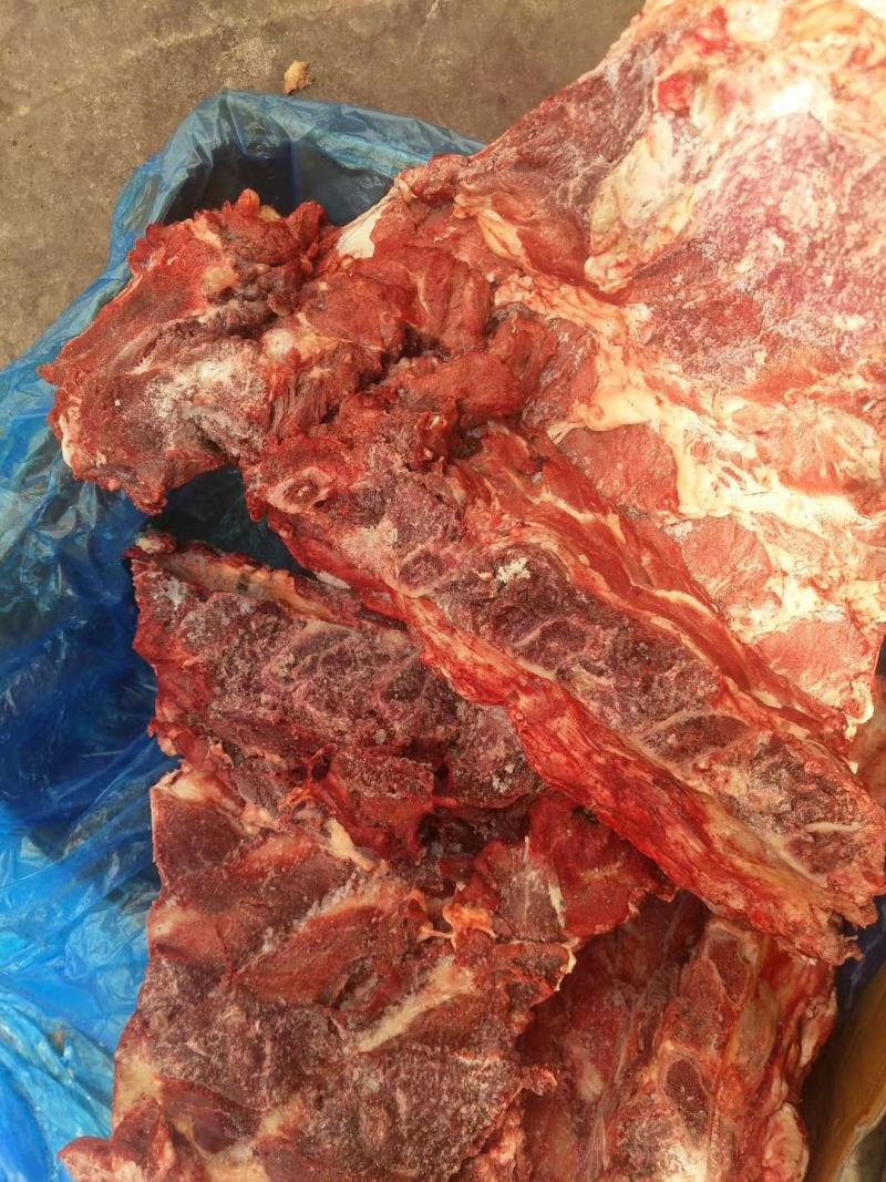 多肉牛脊骨肉多实惠价格不贵支持样品