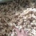 白玉菇白玉木耳一级，五斤包邮，口感好，营养丰富，