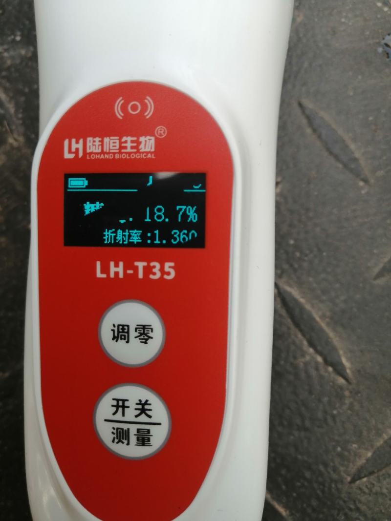 威县优质巨峰葡萄大量上市