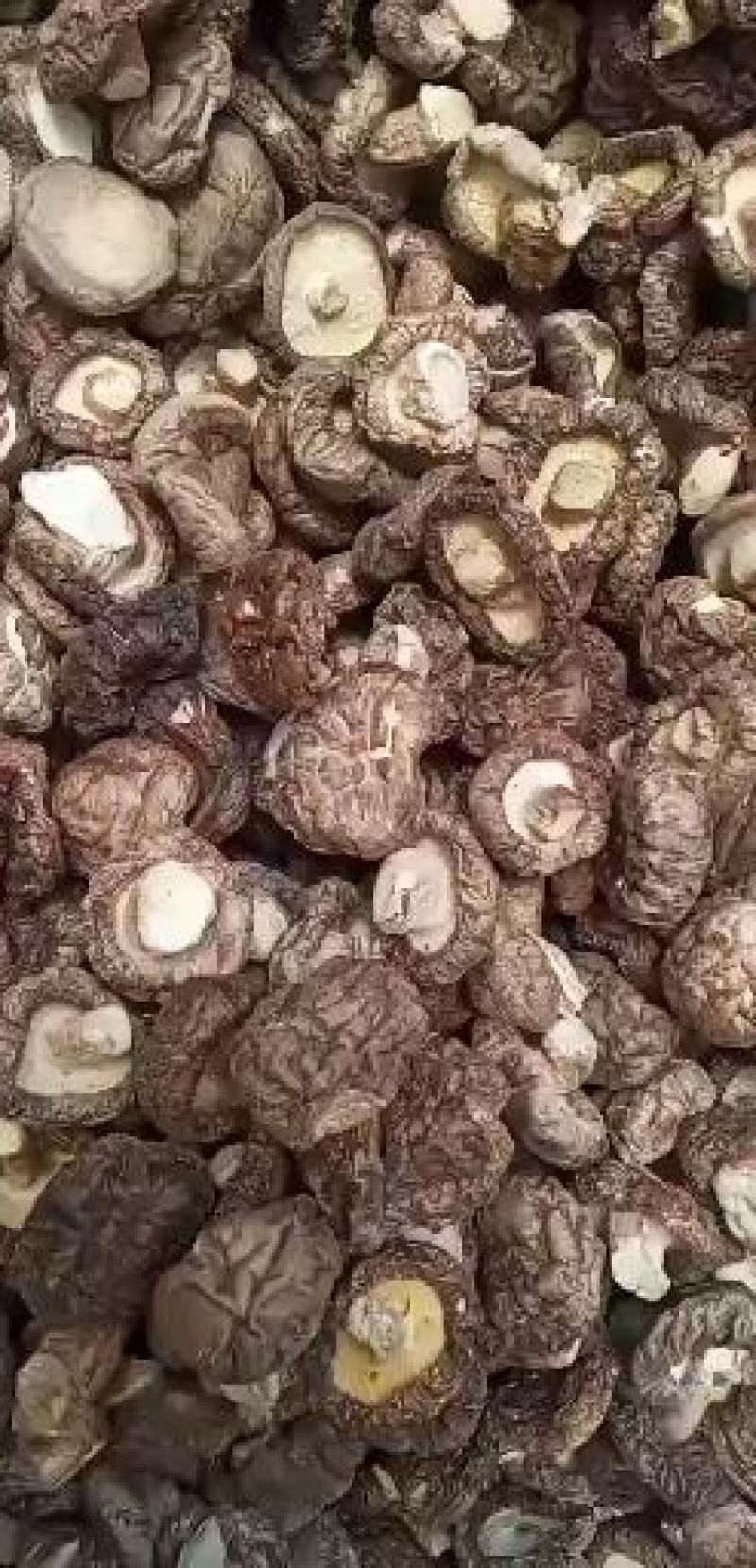 香菇，美味好食材，健康伴你行