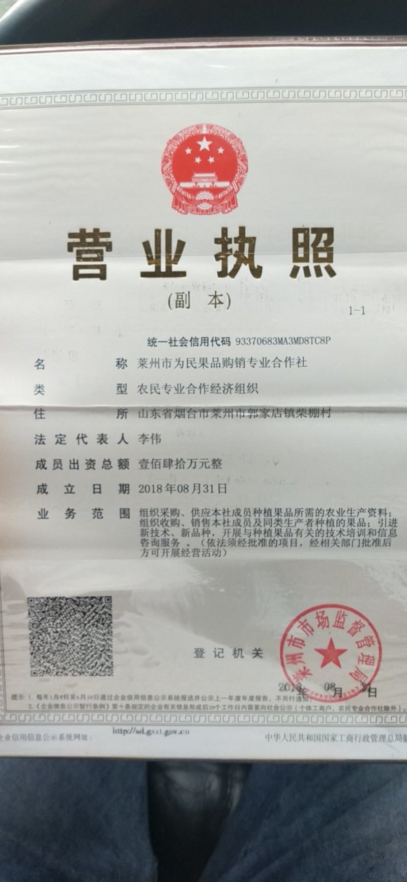 圆黄梨头茬90以上市场货，即将上市。价格美丽。