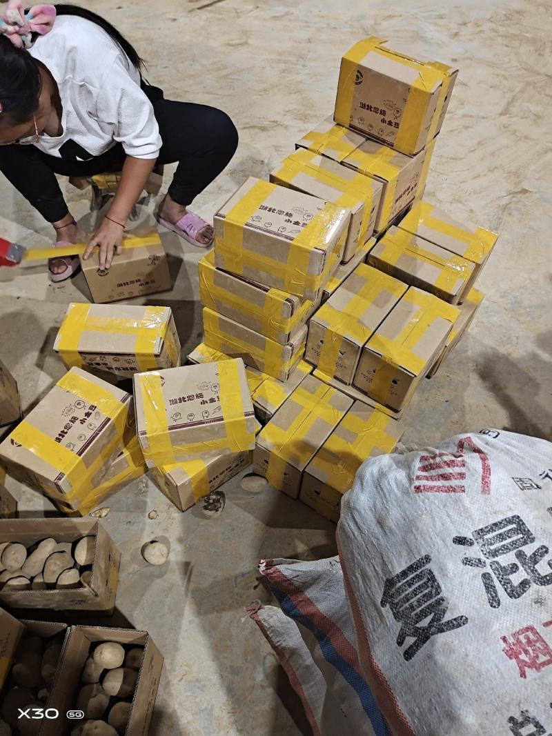 恩施硒土豆软糯适合各种煎炸煮蒸5斤包邮