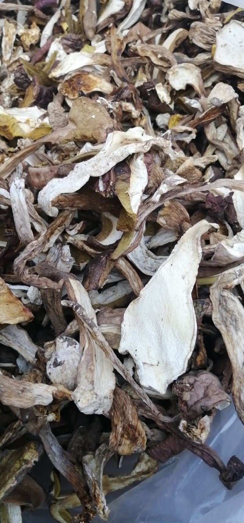 红菇，各种规格，各种价位都有，产地直供价格便宜全国包邮。