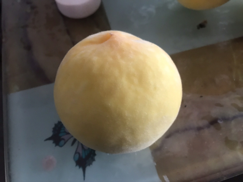 蒙阴锦绣黄毛桃可以视频看货