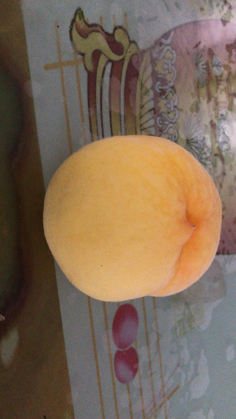 蒙阴锦绣黄毛桃可以视频看货