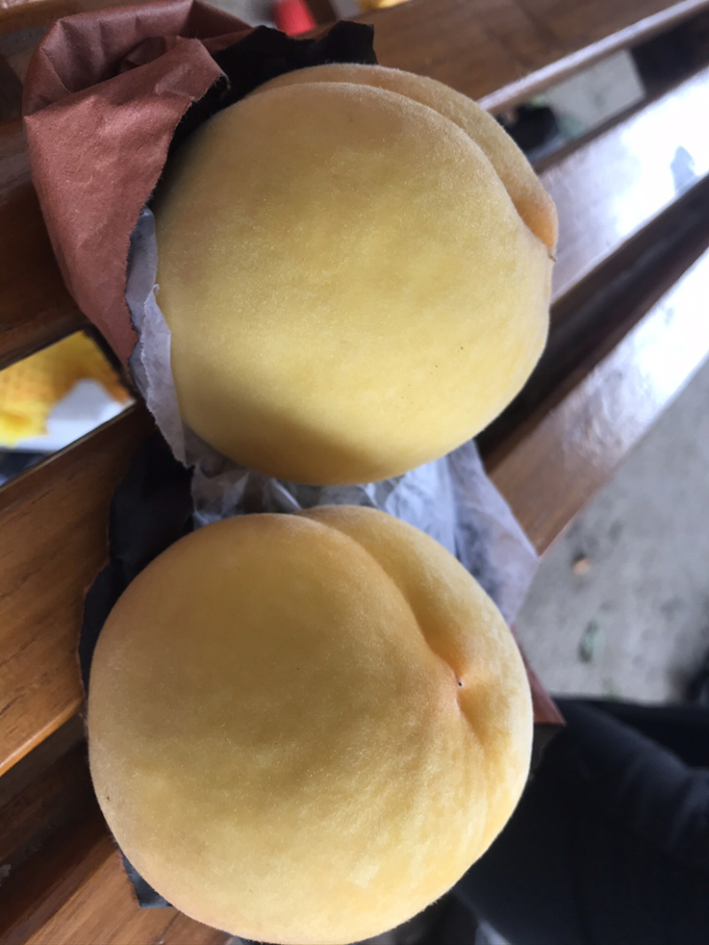 蒙阴锦绣黄毛桃可以视频看货