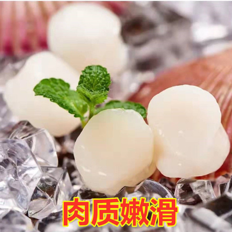 新鲜速冻大瑶贝柱鲜冻带子肉鲜贝纯正原浆新鲜速冻鲜贝