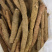 新鲜貨牛大力大牛大量供应