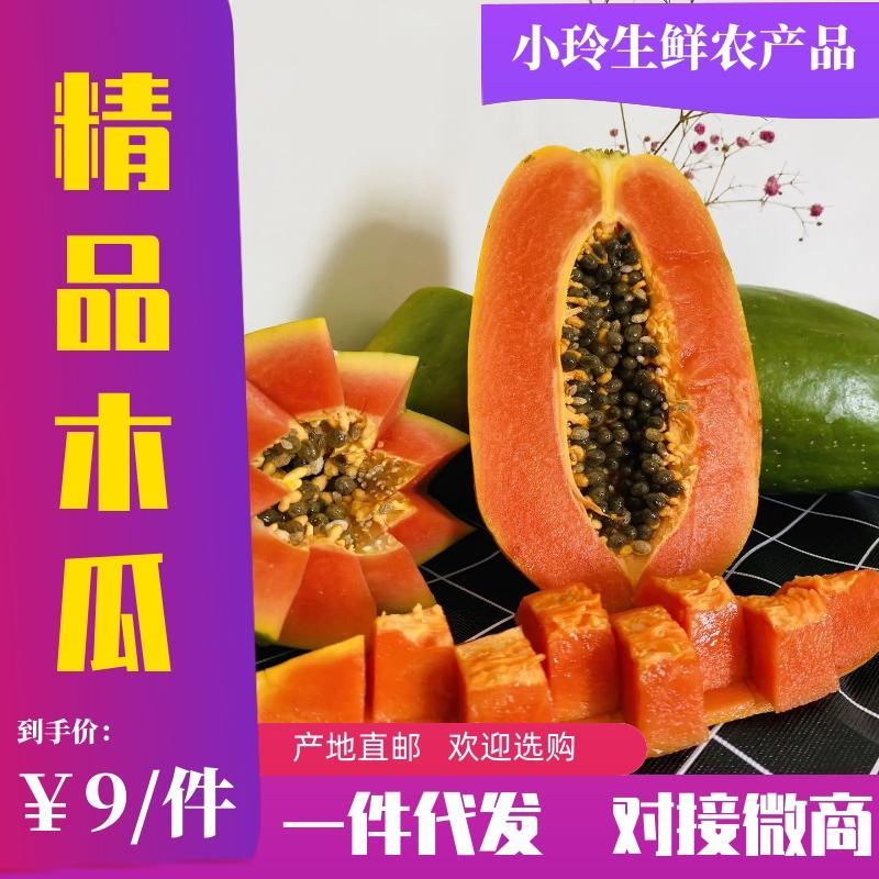 【优质货源】精品红心木瓜，产地直邮，对接微商电商，专业代