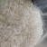 龙须雪燕，大中小龙大量上市！规格齐全价格实惠欢迎咨询