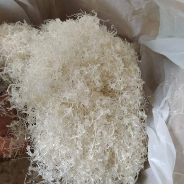 龙须雪燕，大中小龙大量上市！规格齐全价格实惠欢迎咨询