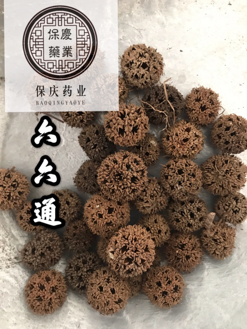 六六通路路通枫球子枫树球枫香果实拍无刺路路通