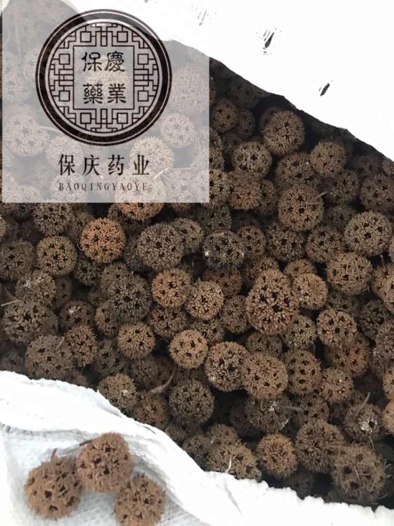 六六通路路通枫球子枫树球枫香果实拍无刺路路通