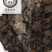 儿茶孩儿茶乌爹泥乌丁泥实拍儿茶二茬