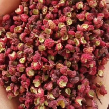 汉源特级干红花椒（贡椒娃娃椒）