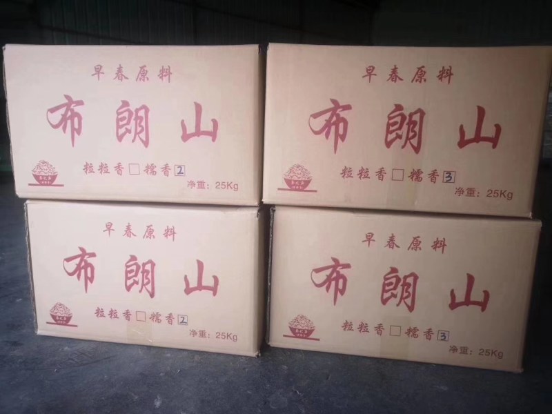 云南勐海布朗山原料糯香普洱茶碎银子