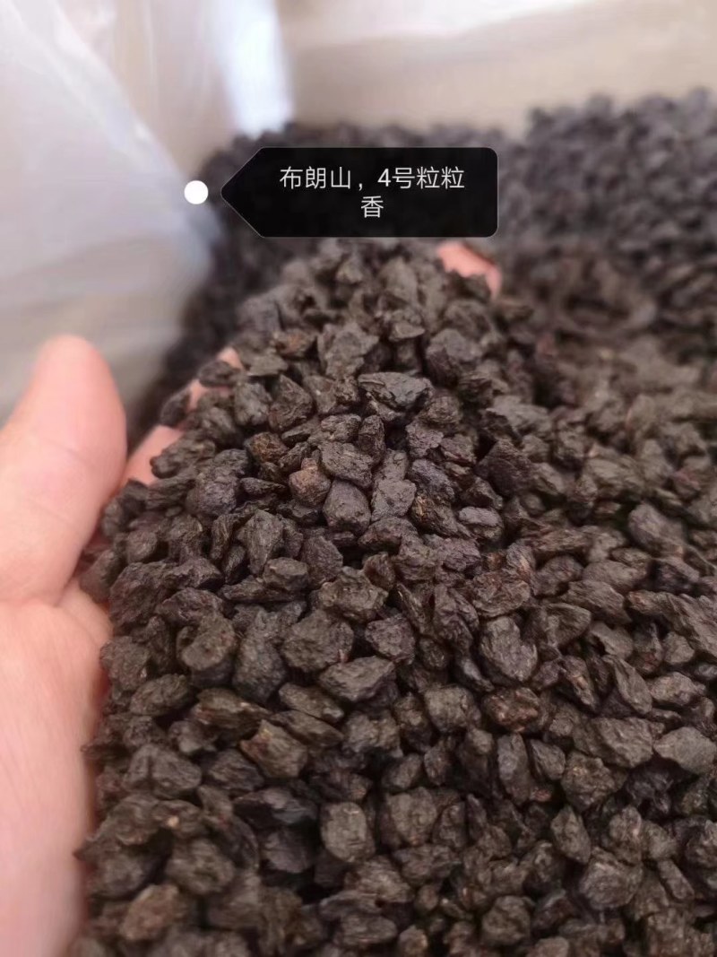 云南勐海布朗山原料糯香普洱茶碎银子