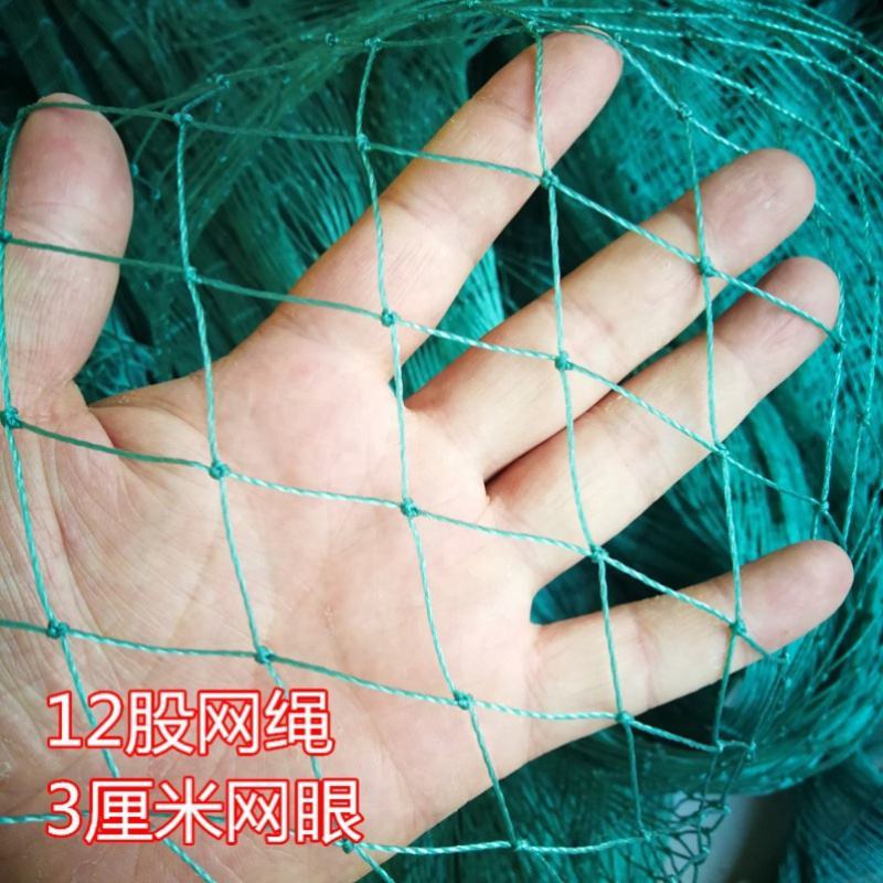 养殖网养鸡网尼龙网拦鸡网围鸡网家禽塑料网护栏网菜园围网防